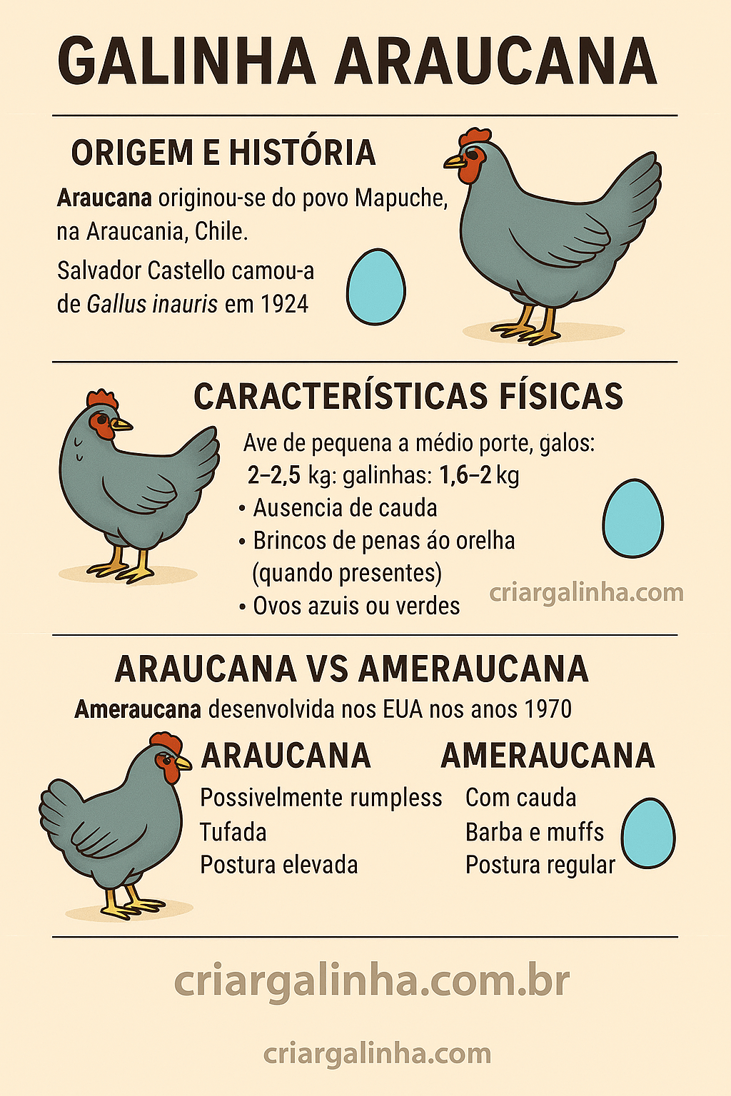 caracteristicas e diferenças entre araucana e ameraucana